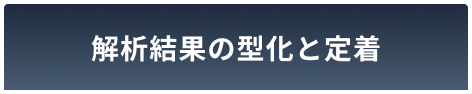 解析結果の型化と定着