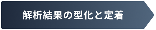 解析結果の型化と定着